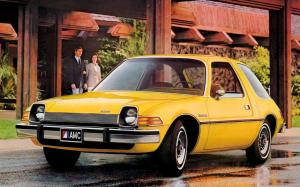 AMC Pacer 2-Door Sedan D/L Pkg. (7666-7) '1975 - 76